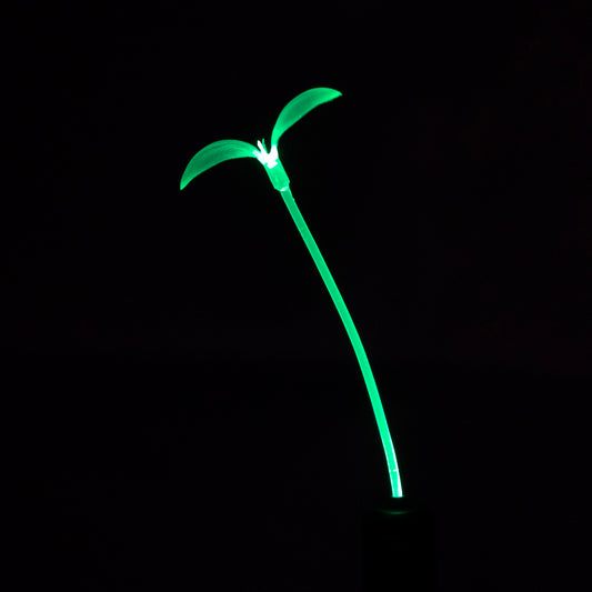 Green - Neon Nature GlowSprout