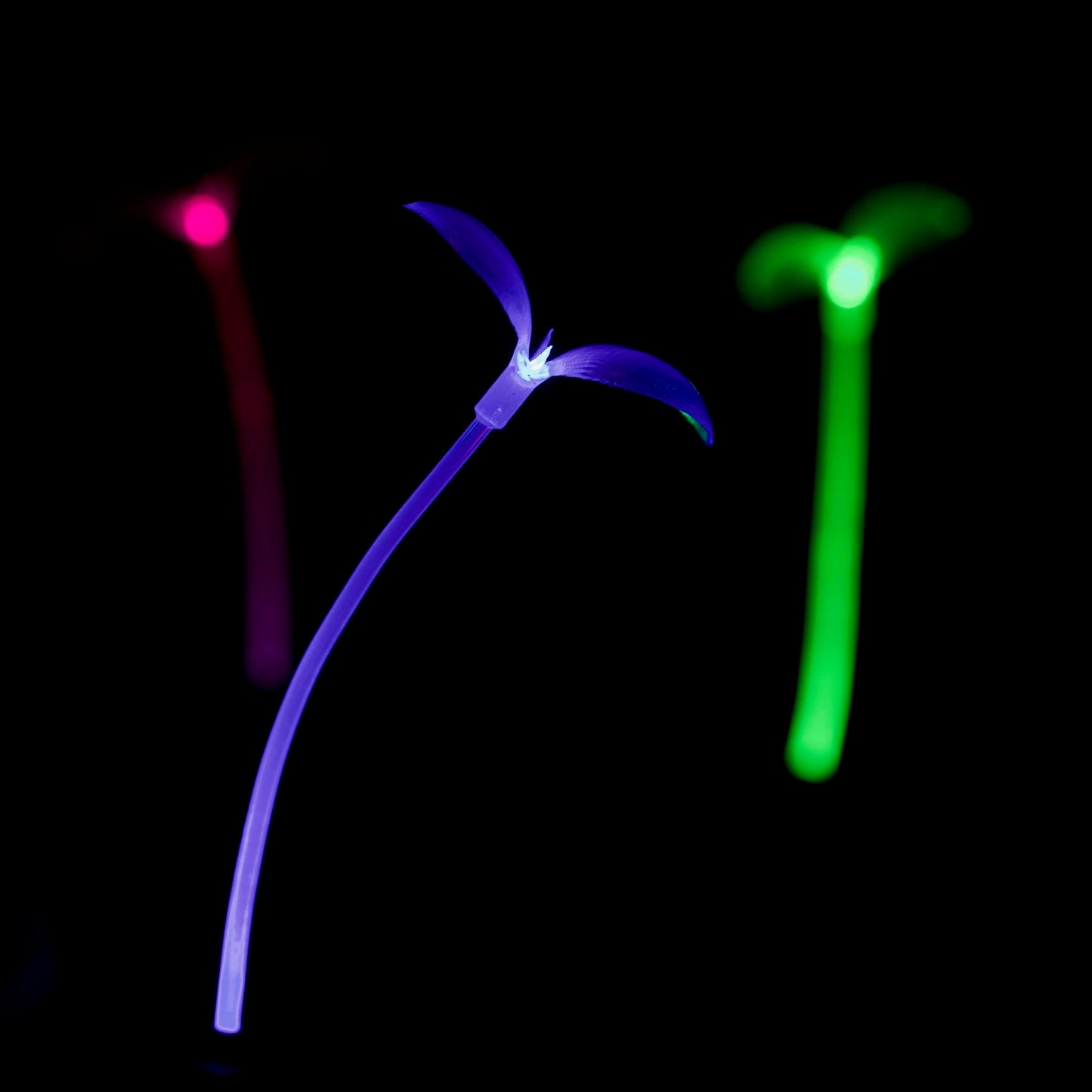 3-Pack - Pink, Blue & Green GlowSprouts
