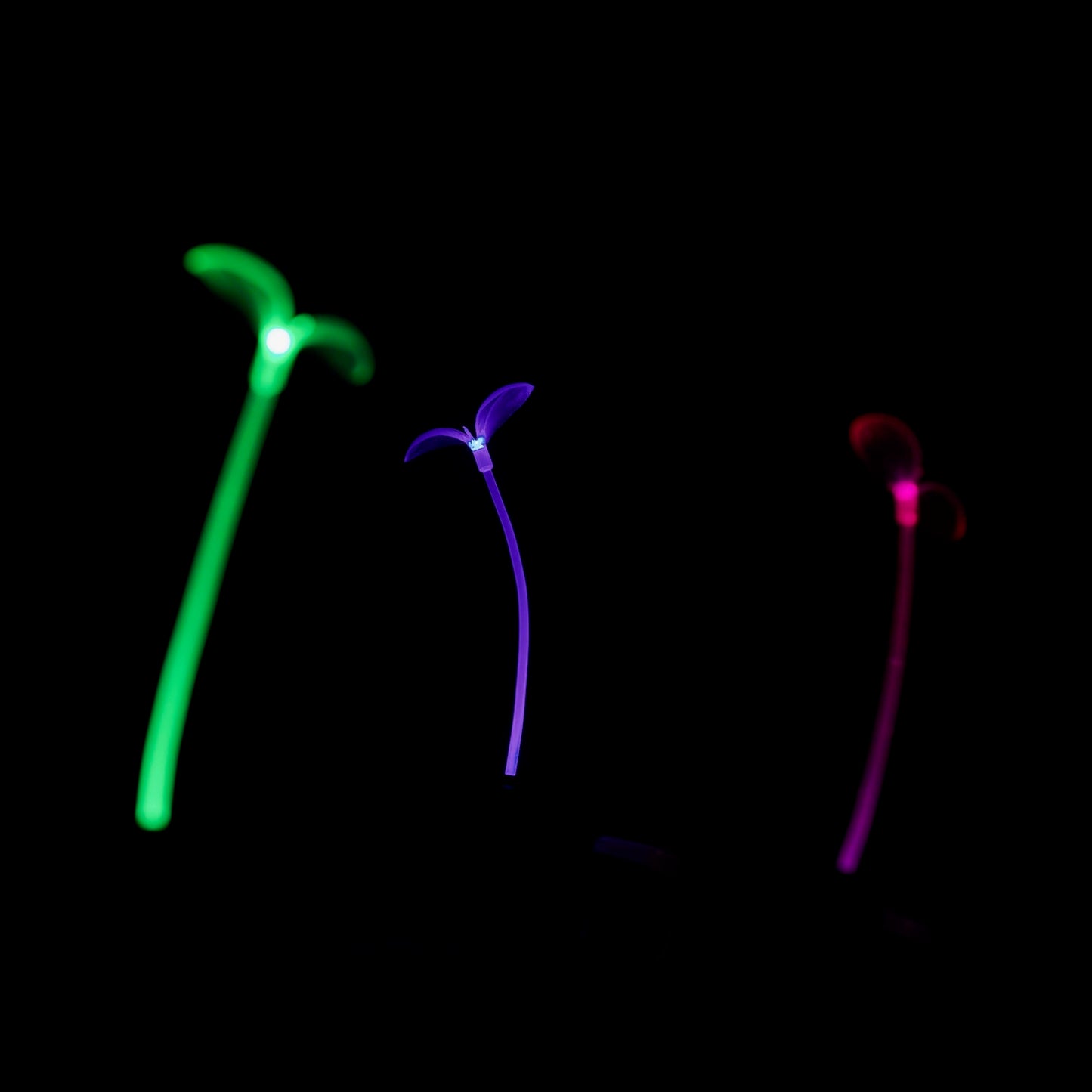 3-Pack - Pink, Blue & Green GlowSprouts