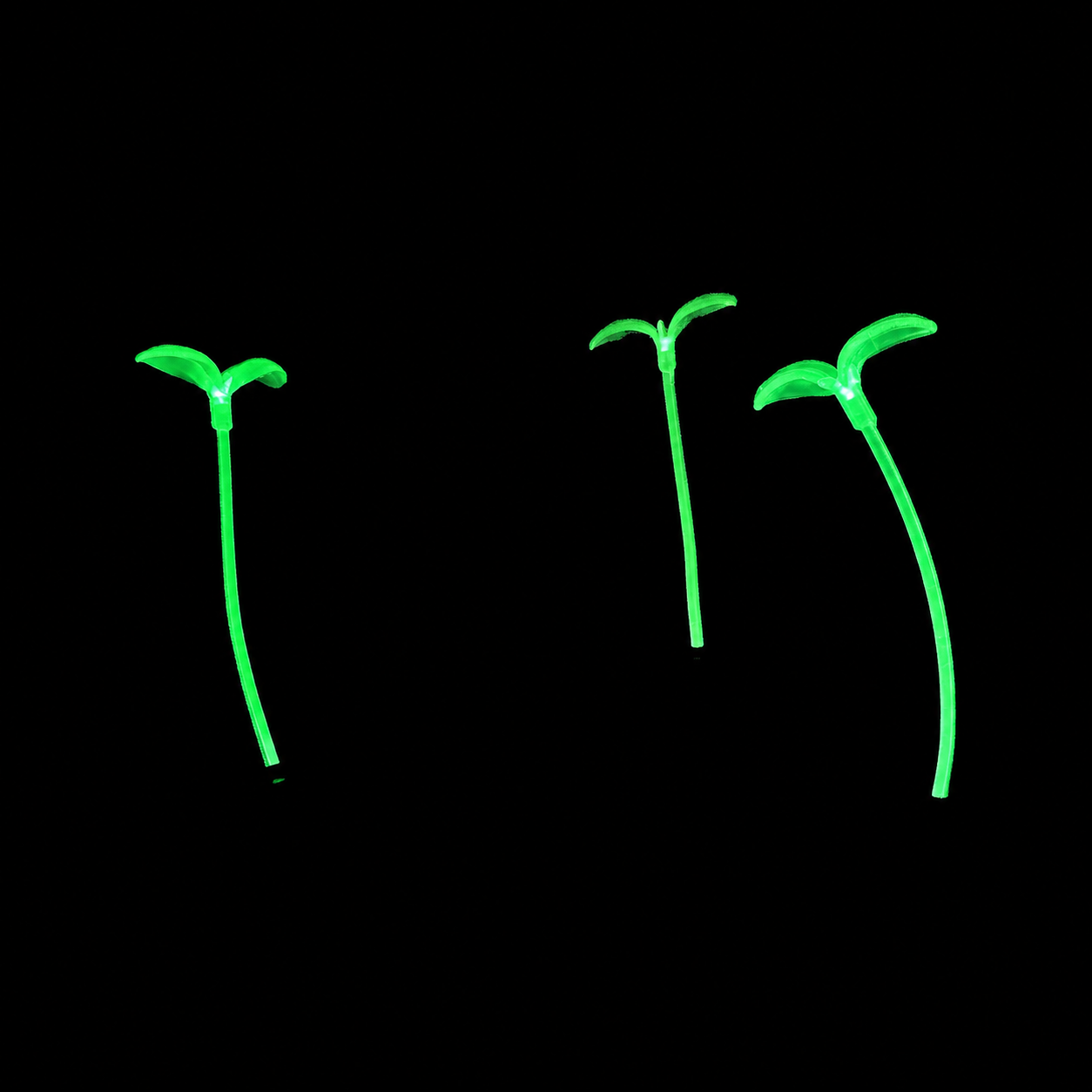 Neon Nature GlowSprout 3-Pack