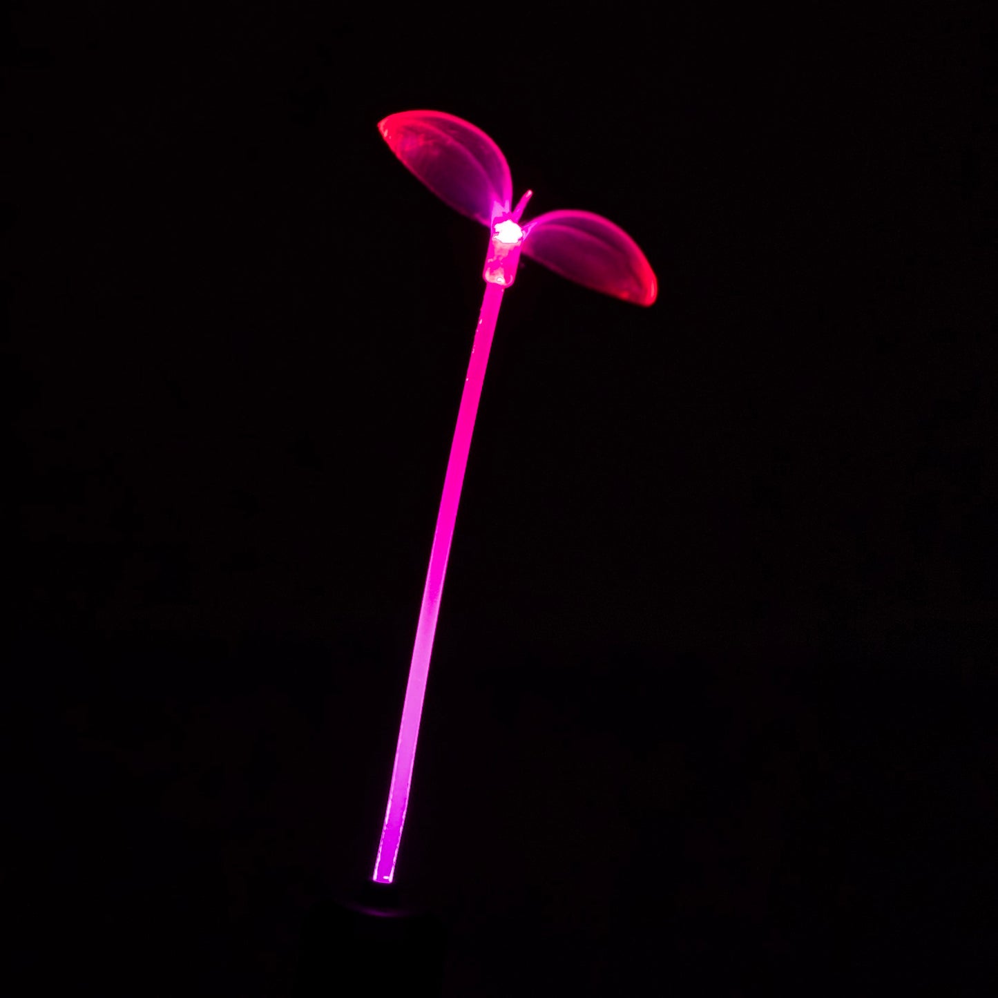 Blush Bloom GlowSprout 3-Pack