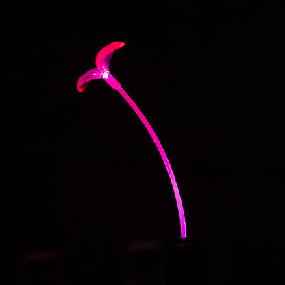 Blush Bloom GlowSprout 3-Pack