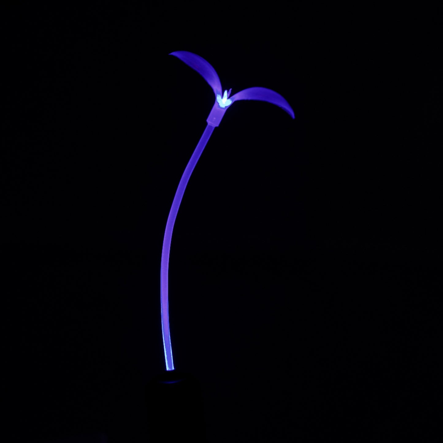 Blue - Lunar Bloom GlowSprout