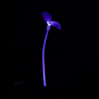 Blue - Lunar Bloom GlowSprout